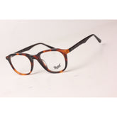Tortoise Brown